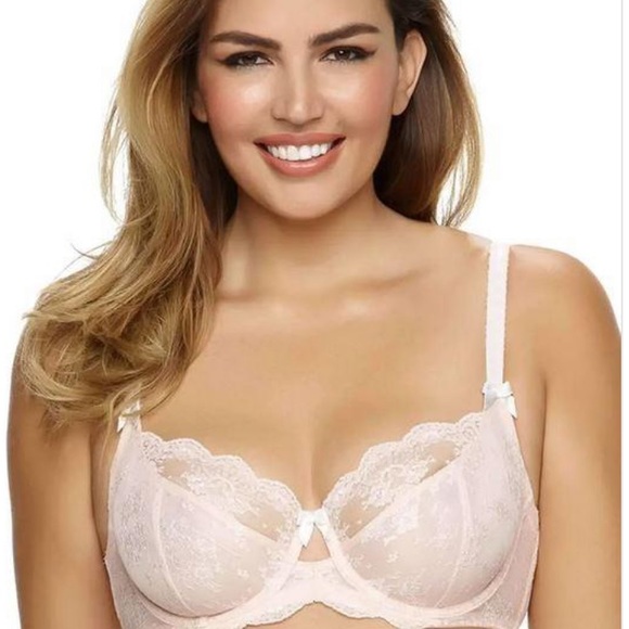 Paramour by Felina Lace Unlined Full-coverage Bra - Picture 13 of 13